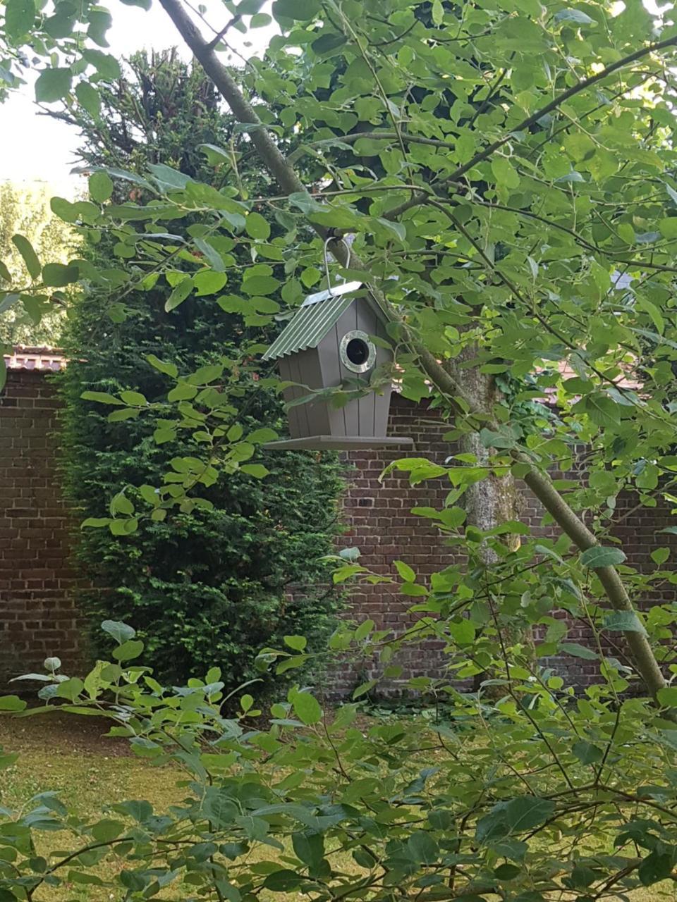 L'Escarbotine Bed & Breakfast Friville-Escarbotin Exterior photo
